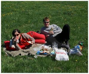 Nedělní piknik