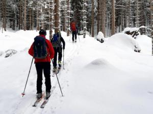 Předvoj skialpinistů