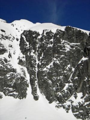 Javorisko