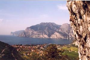 Arco_komar5