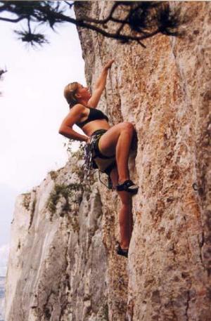 Arco_sestra2