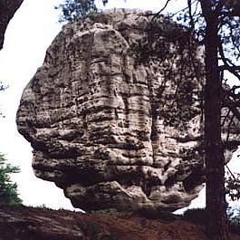 Svéhlavička